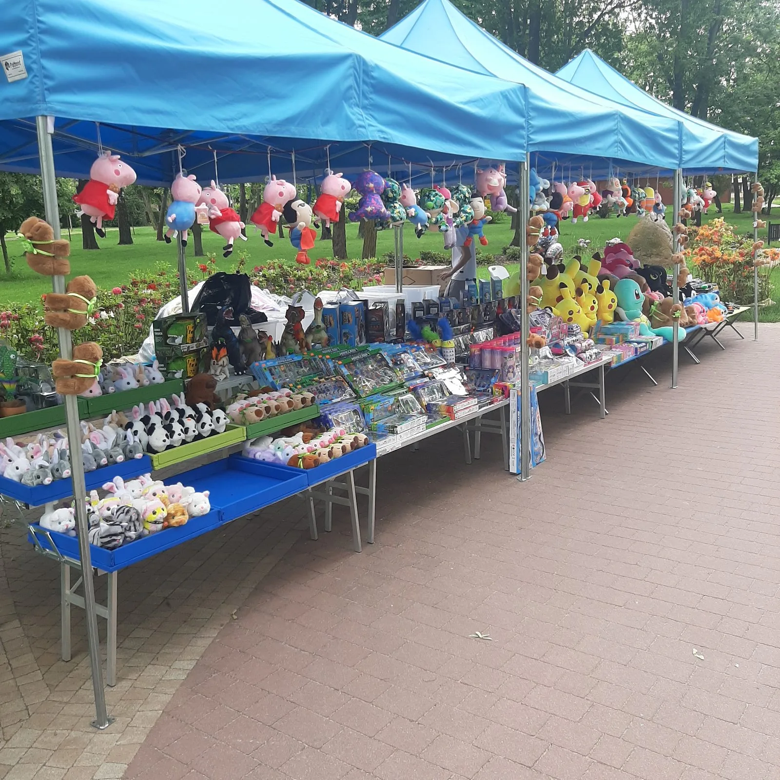 Zdjęcie 5